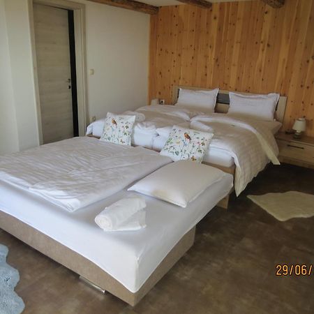 Studio 1111 With Sauna & Hot Tub Dravograd Экстерьер фото