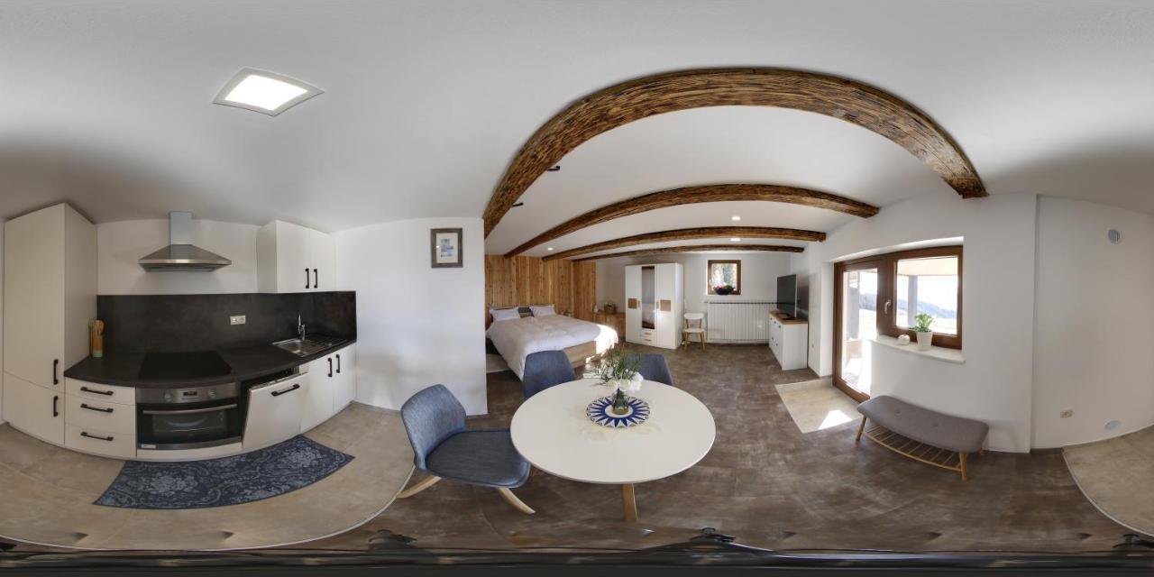 Studio 1111 With Sauna & Hot Tub Dravograd Экстерьер фото