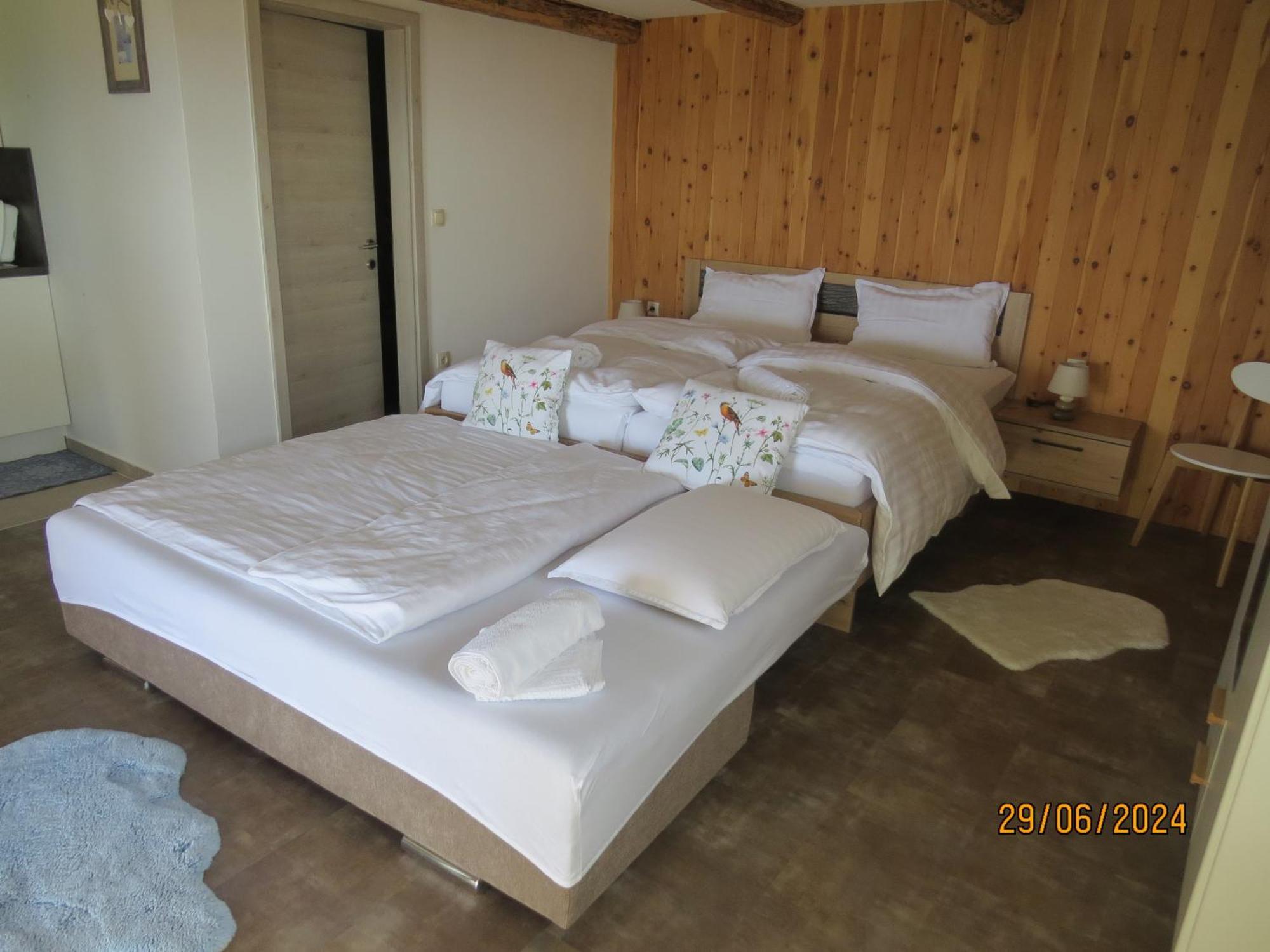 Studio 1111 With Sauna & Hot Tub Dravograd Экстерьер фото